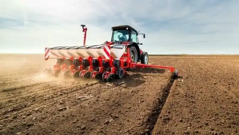 Аграрії Рівненщини засіяли половину запланованих площ ярих культур