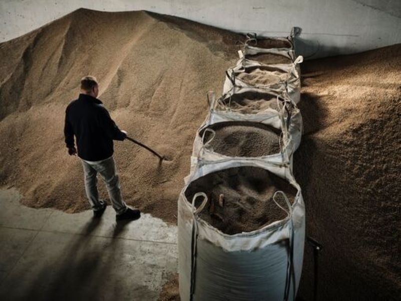 Агроекспорт України зріс до $6,3 млрд: перероблена продукція встановила новий …