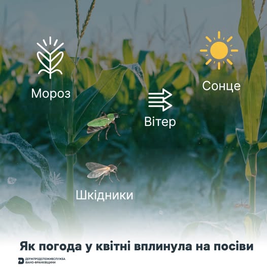 Агрокліматичний огляд Прикарпаття: як квітневі заморозки вплинули на майбутній врожай