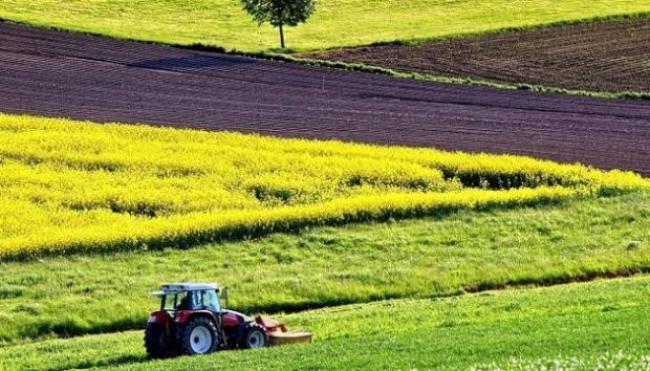 Агрокомпанія на Рівненщині протягом двох років не платила за оренду …