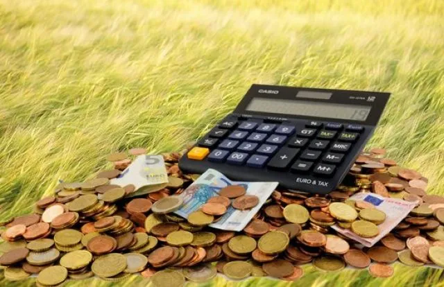 Агросектор Київщини сплатив понад 1,3 млрд грн податків у першому …