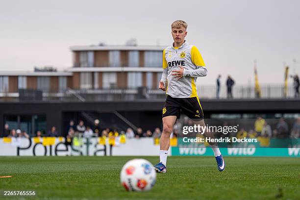 «Боруссія» Дортмунд хоче продовжити контракт із Кревсуном