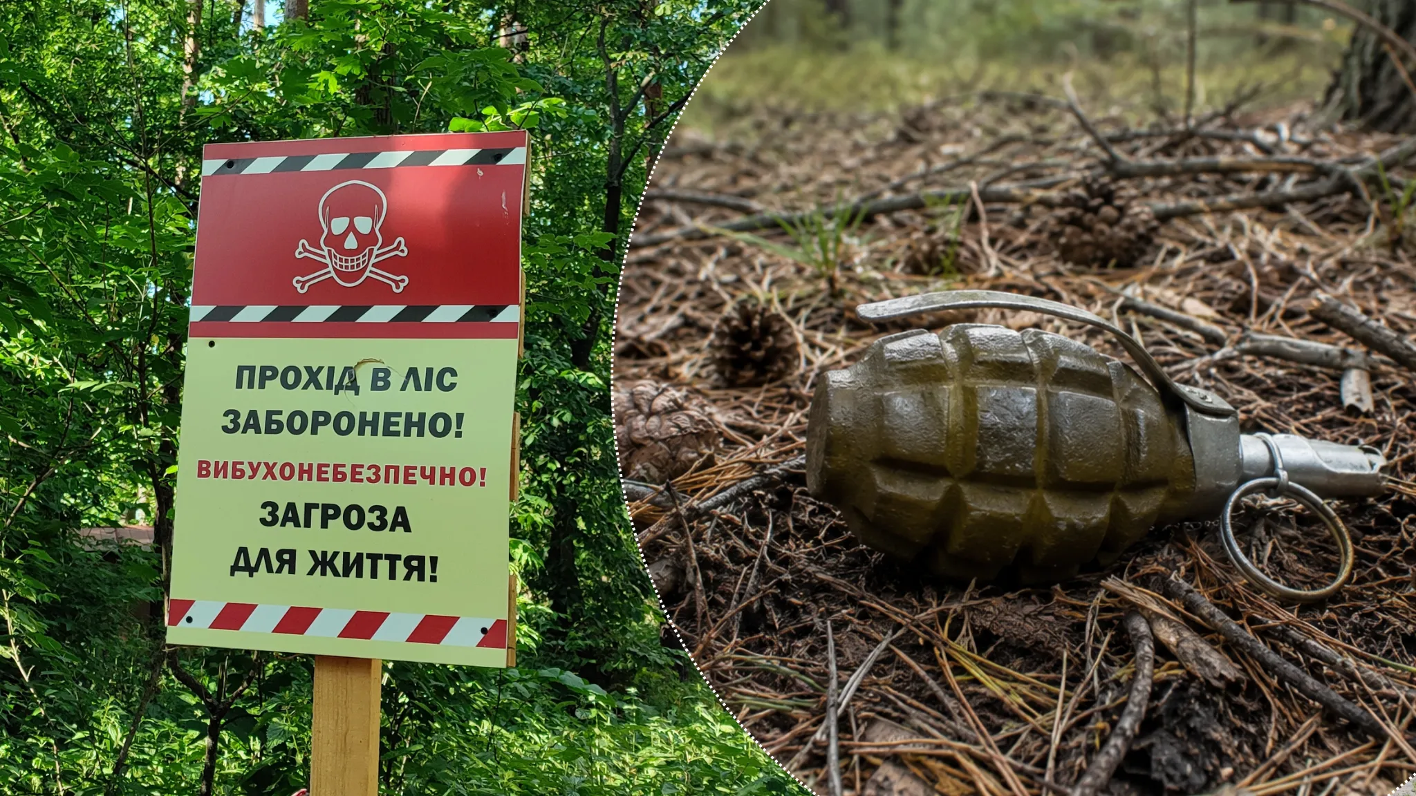 Боєприпаси у лісосмузі: мешканців Тернівської громади закликають бути обережними