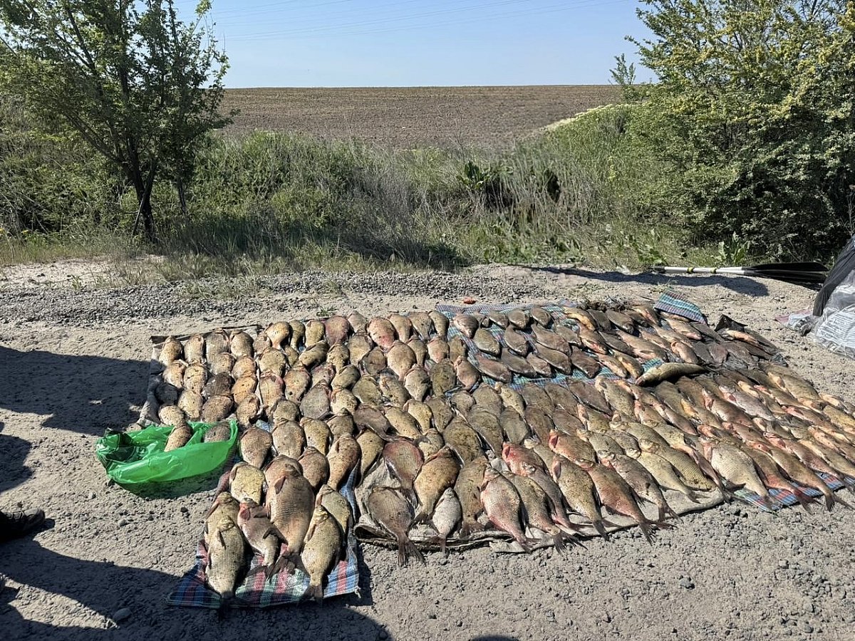 Браконьєрів зловили з уловом більш ніж на 320 тисяч гривень …