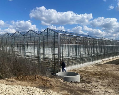 Будувала теплиці без дозволів: на Тернопільщині судитимуть директорку підприємства (фото)