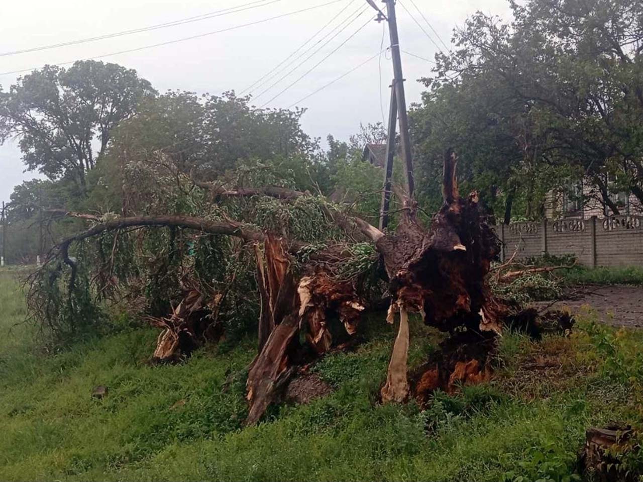 Буревій наробив біди у Лозівському районі Харківщини
