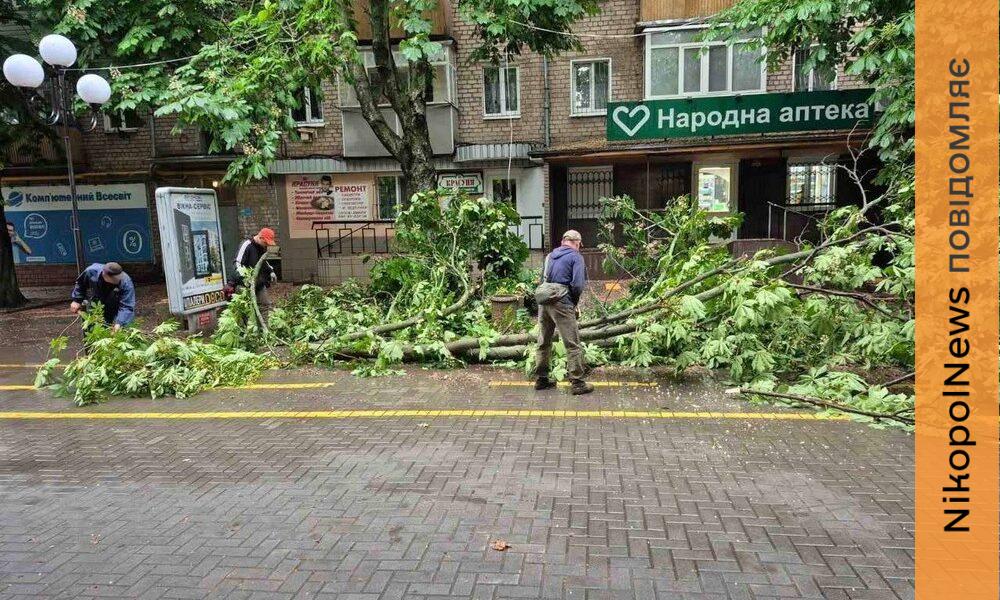 Буревій у Покрові сьогодні валив дерева і обривав лінії електропостачання …