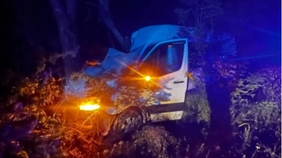 Біля Миколаєва маршрутка врізалася в дерево: троє пасажирок постраждали