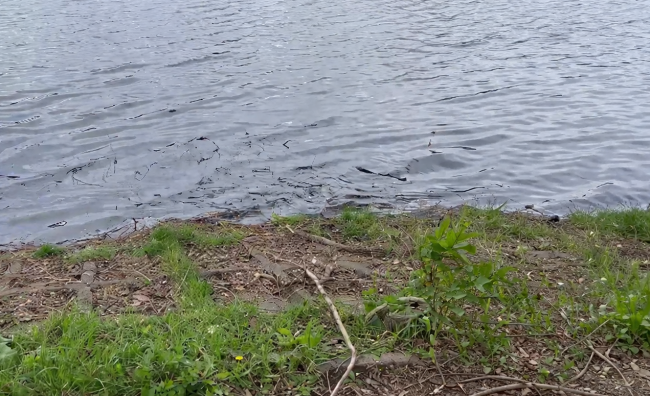 Біля водойми в Гідропарку Рівного прибрали сміття