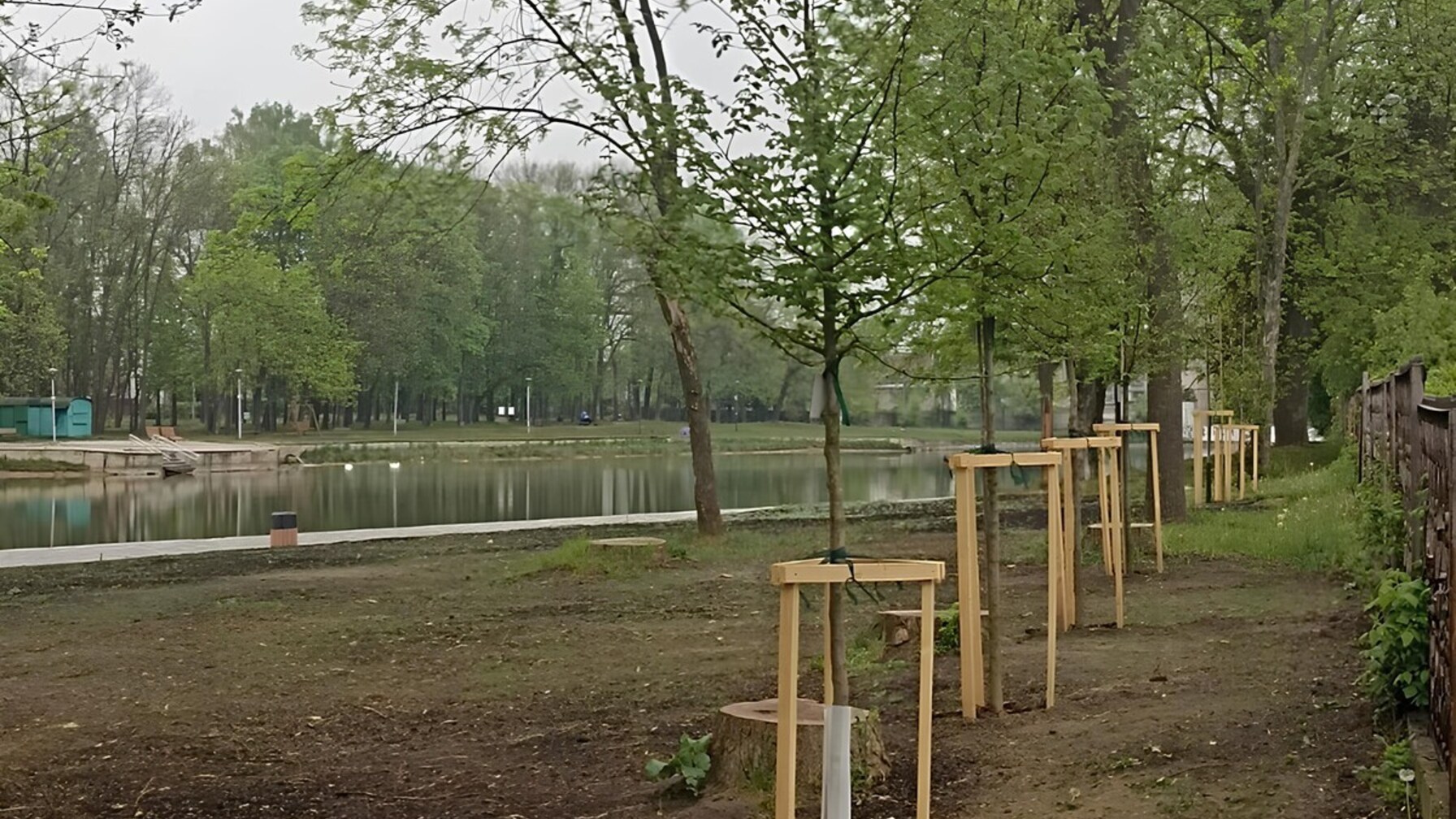 Біля озера "Левандівське" у Львові висадили молоді дуби та граби