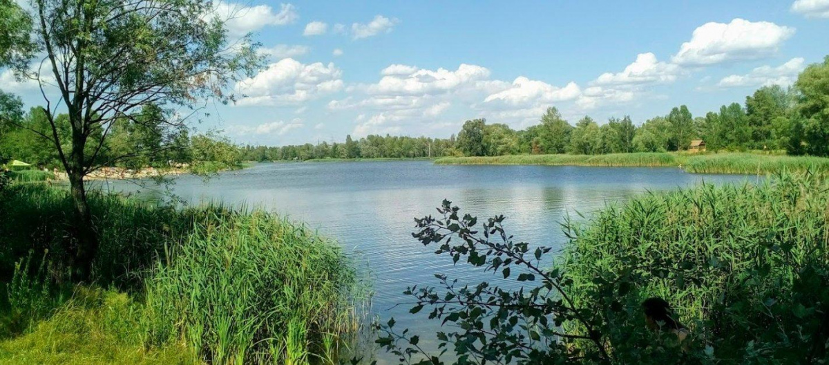Біля озера Міністерка знищили альтанки і занедбали кафе - що …