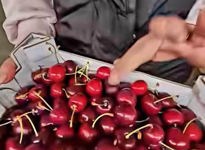 В Одесі продають першу черешню за 1000 грн/кг