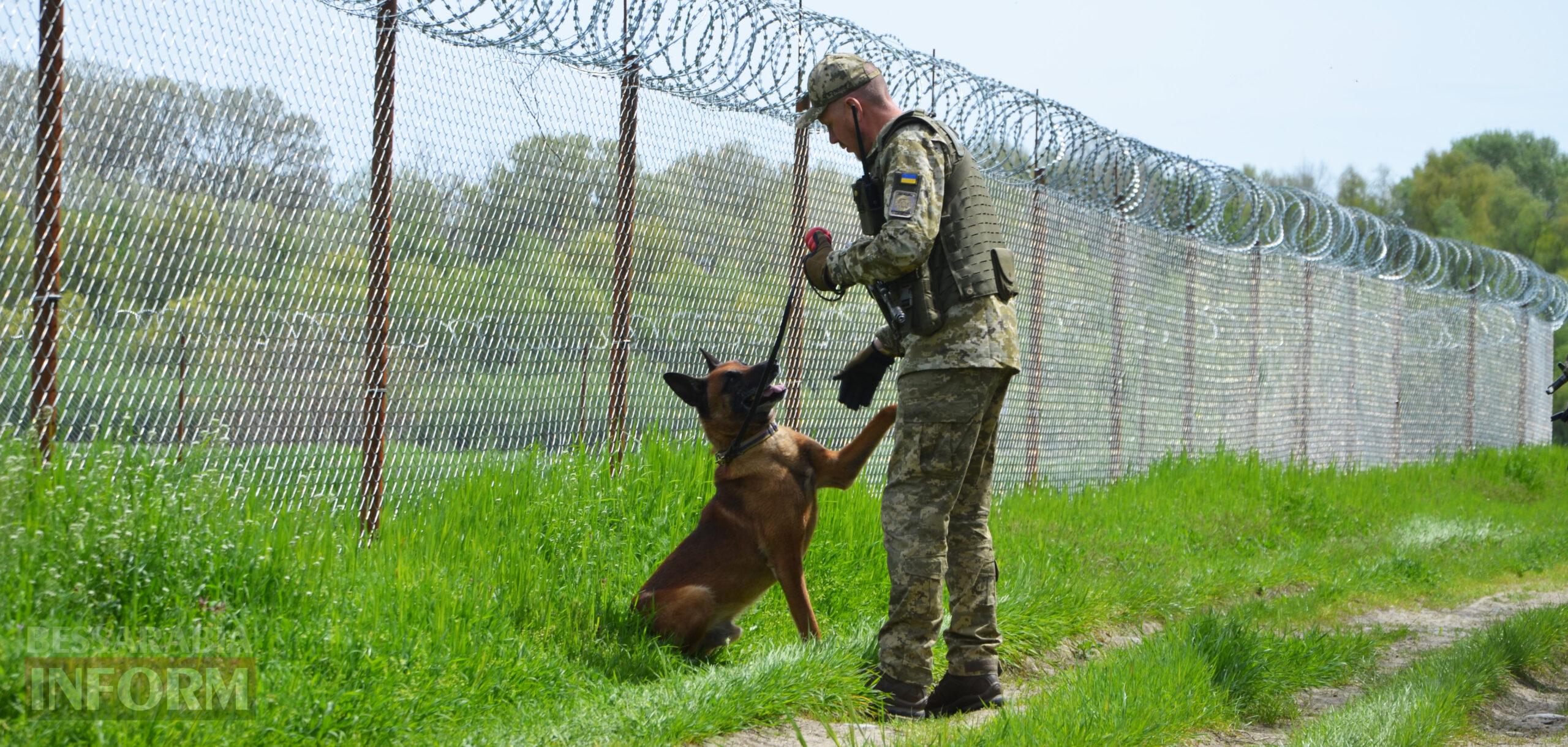 Вартові кордону: тандем кінолога Ізмаїльського прикордонного загону та службового собаки …