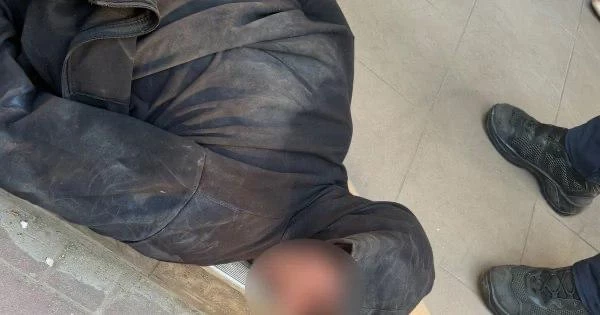 Вбивство собаки в під’їзді: миколаївця відправили в СІЗО без права …