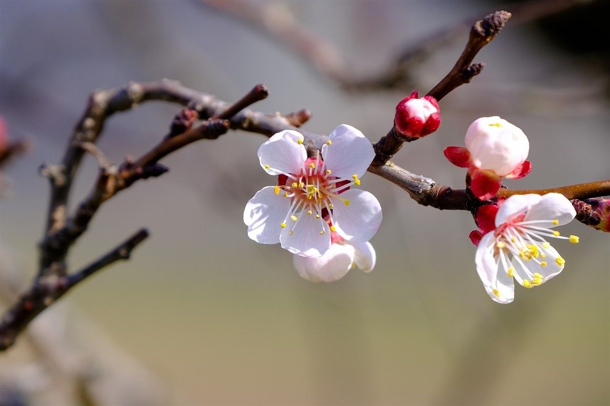 Весна з прохолодою: прогноз погоди на 30 квітня у Вінницькому …
