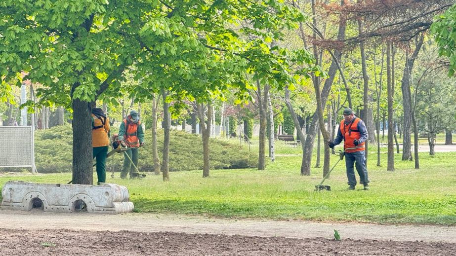 Понад 35 га трави викосили в Запоріжжі – де тривали …