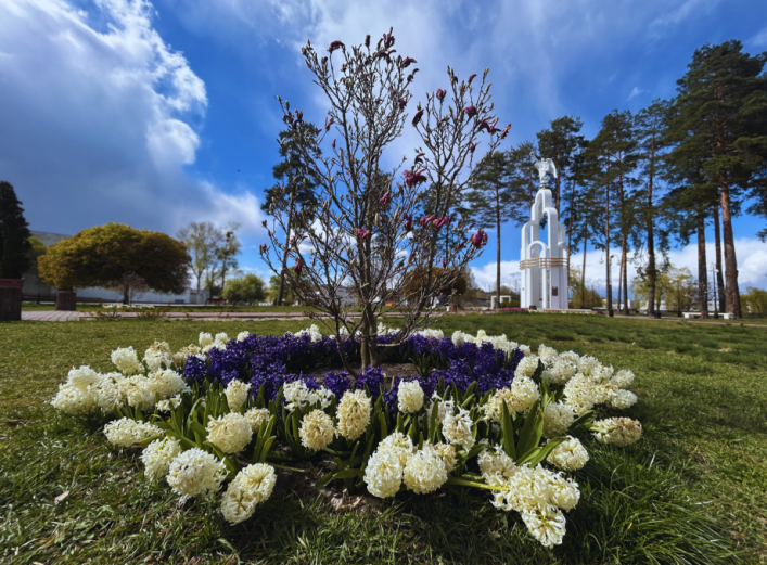 Весняний Славутич у яскравих кольорах, але з прохолодним квітнем