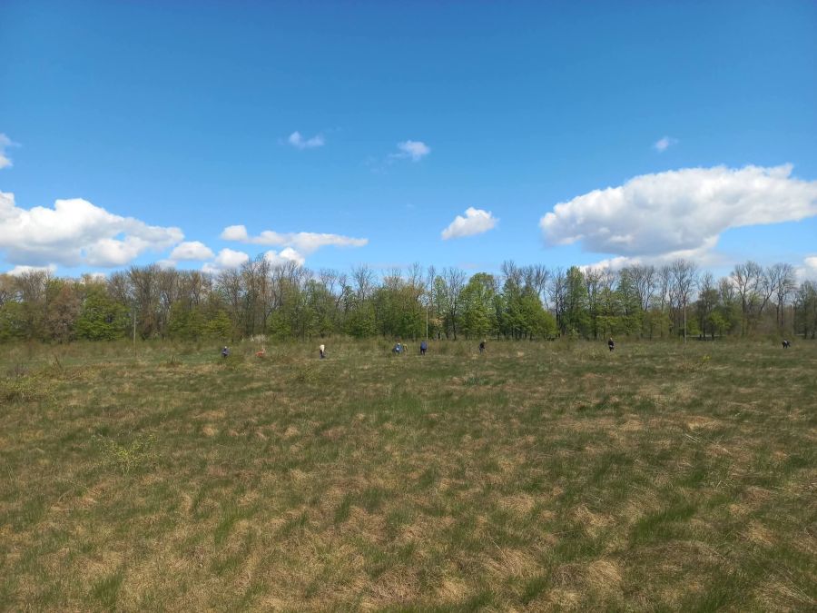 Ветерани, бізнесмени та працівники техніки у Пійлі облаштовують територію для …