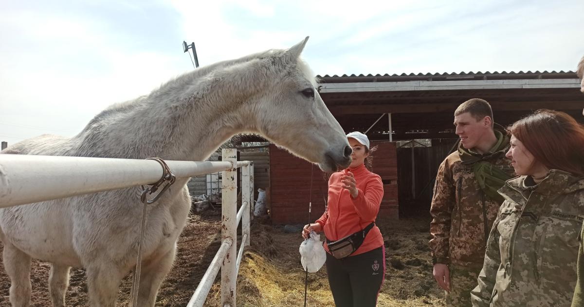 Ветерани пройдуть психологічну реабілітацію на конюшні поблизу Харкова