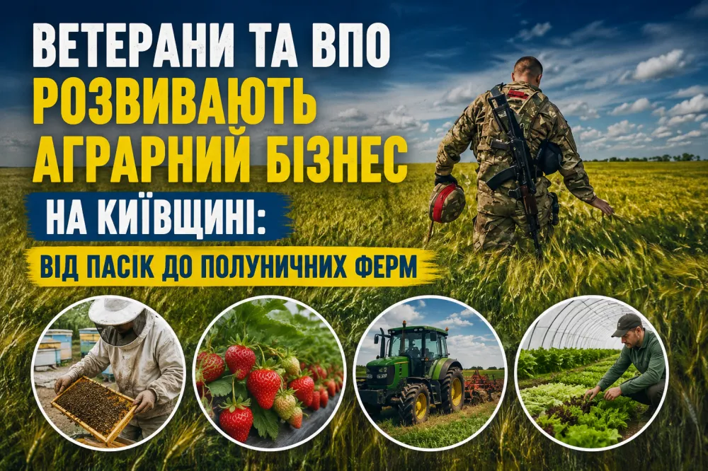Ветерани та ВПО розвивають аграрний бізнес на Київщині: від пасік …
