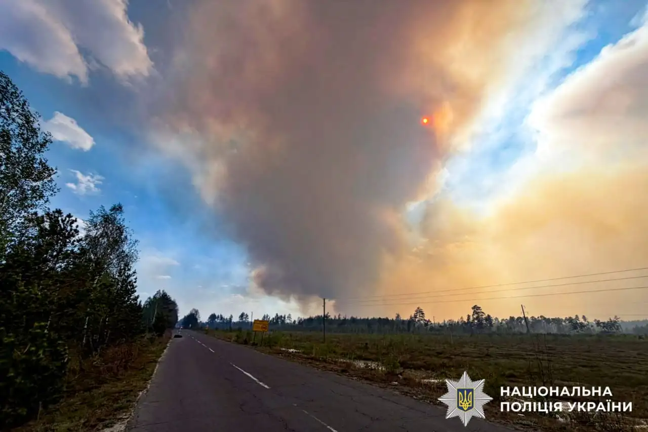 Виникла пожежа на Рокитнівщині: вогонь стрімко поширюється між селами