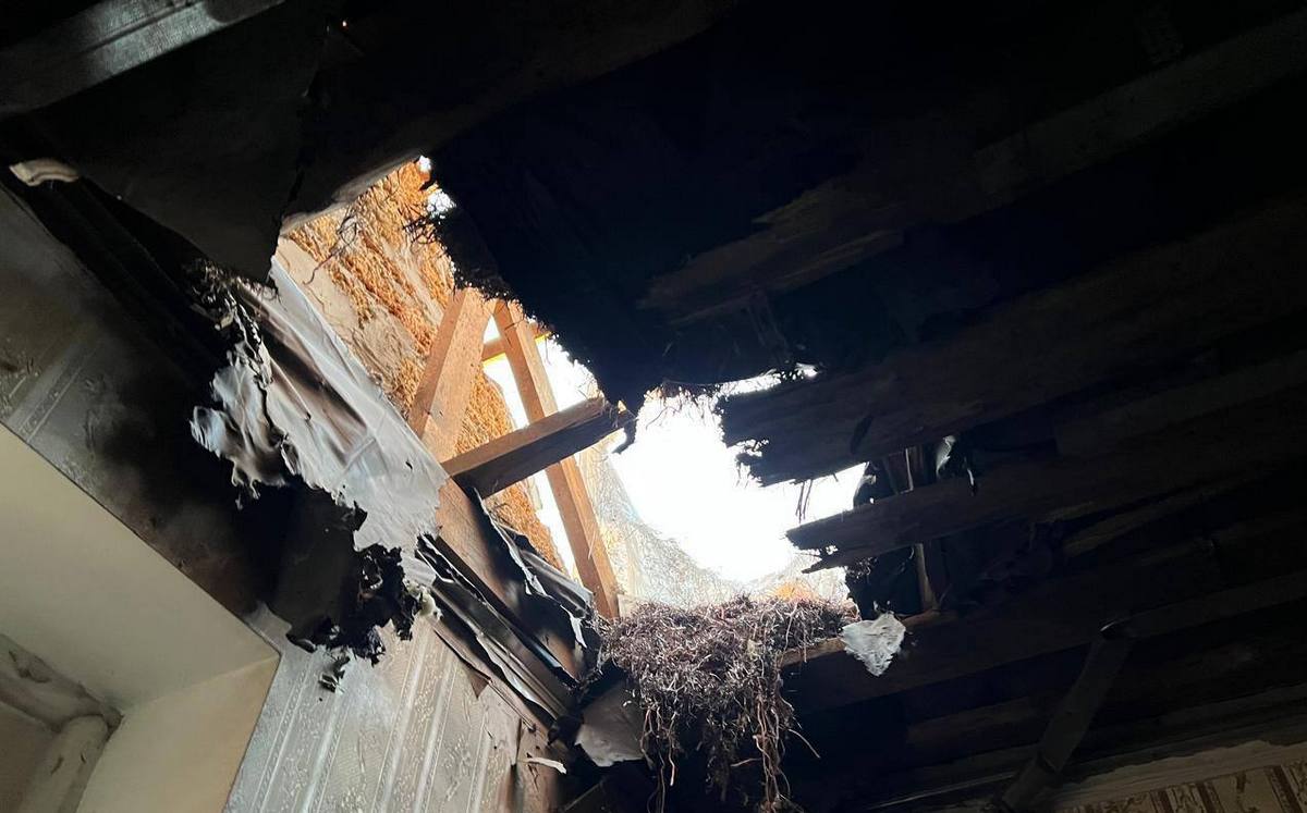 Ворог атакував Зеленівку: ХМВА показала наслідки (фото)