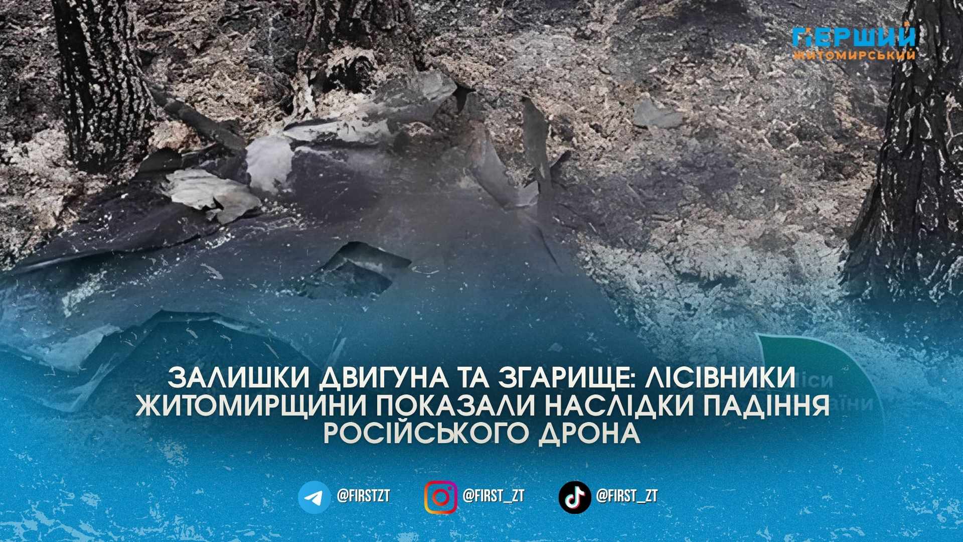 Ворожий безпілотник підпалив ліс: на Житомирщині ліквідували пожежу від уламків …