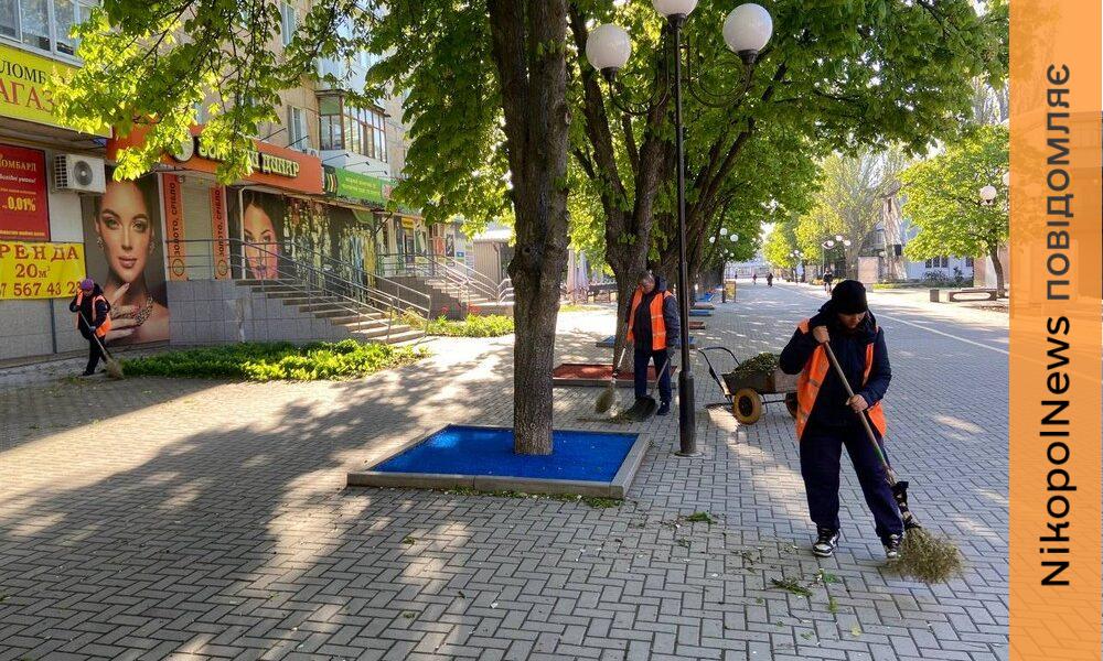 Впорядковують прибудинкові території і паркові зони: чим займаються комунальники Покрова …