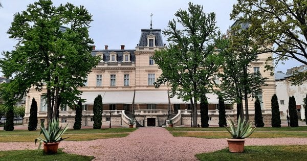 Що збереглося з розкішного французького парку палацу Потоцьких у Львові