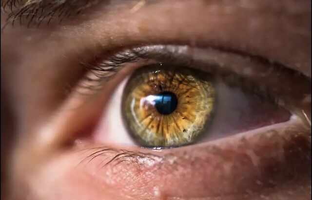 Учені вигадали фейкову хворобу - і ШІ повірив, що вона …