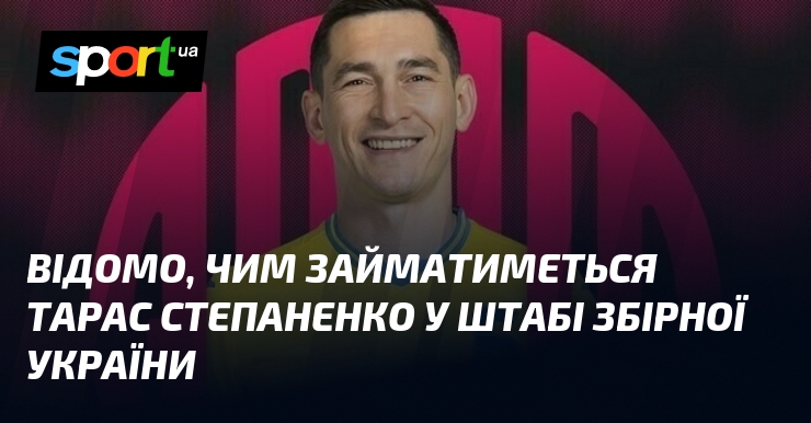 Відомо, чим займатиметься Тарас Степаненко у штабі збірної України