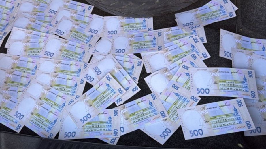 "Відрядження" за $15 000: у Дніпрі чоловік організував схему виїзду …