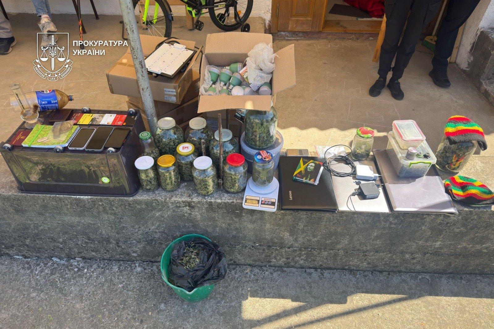 Від вирощування до збуту: на Закарпатті ліквідовано масштабну мережу з …