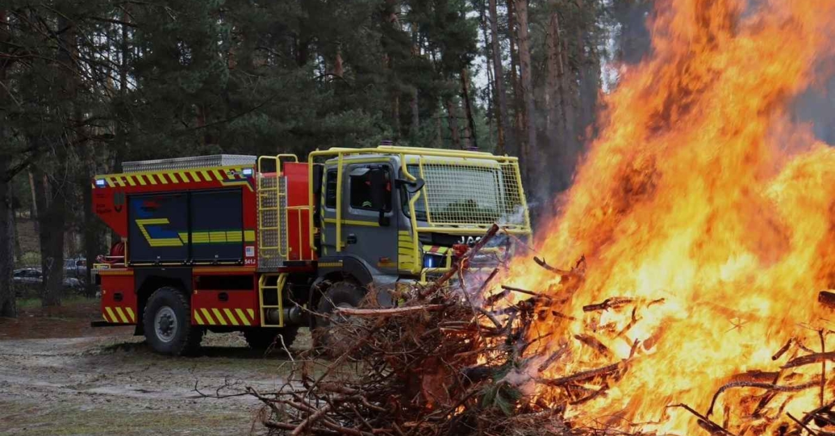 Вінничанам заборонили вхід до лісу: пожежна небезпека зашкалює через аномальну …