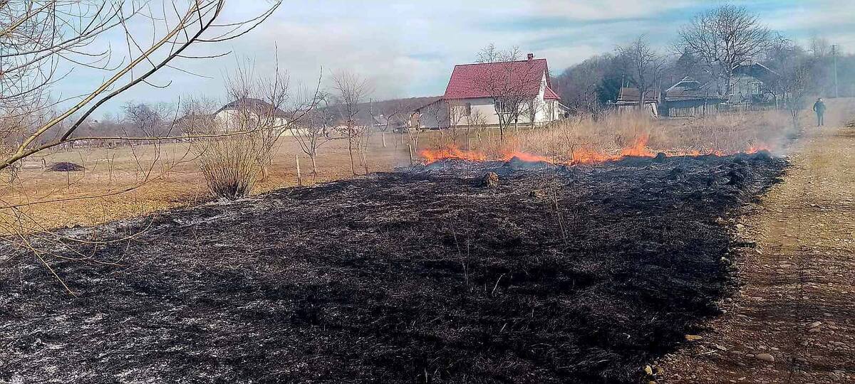 Вінничанам нагадали про штрафи за випалювання сухої рослинності