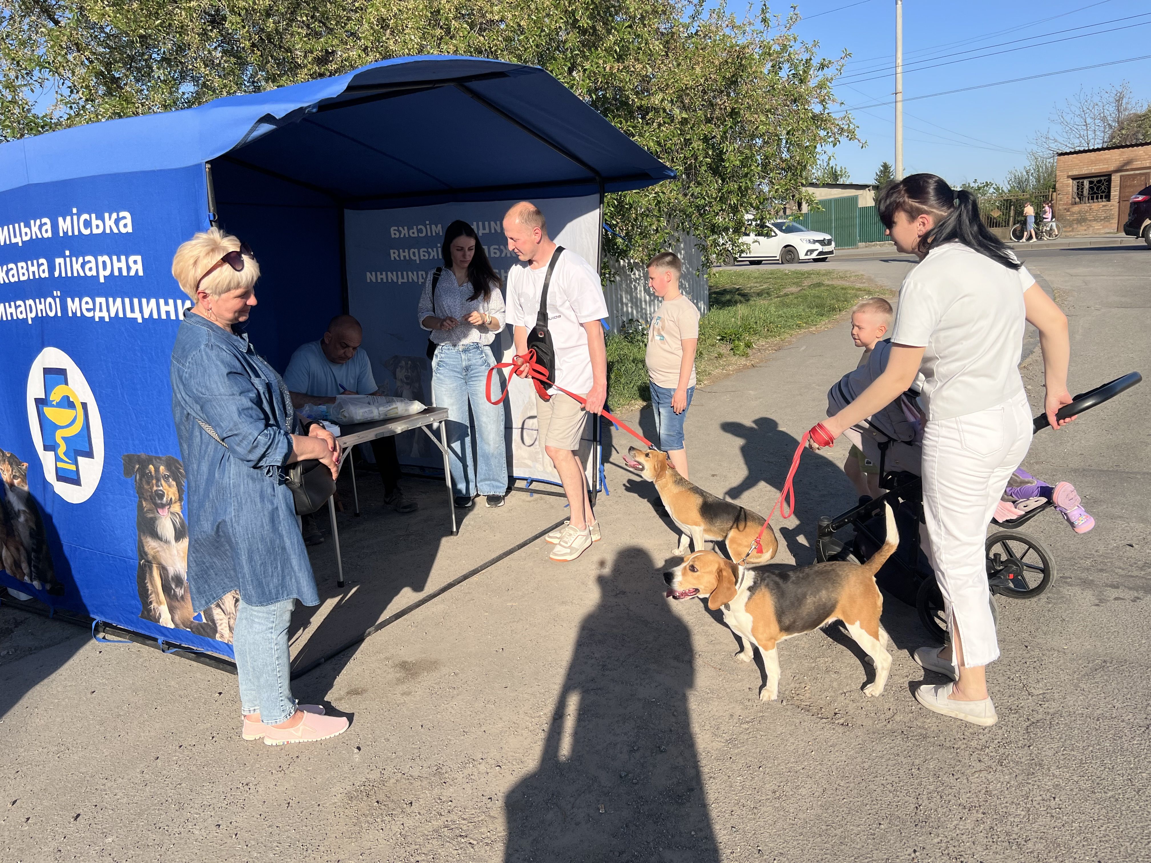 Вінничани активно ведуть улюбленців на щеплення: 350 вакцинацій за два …