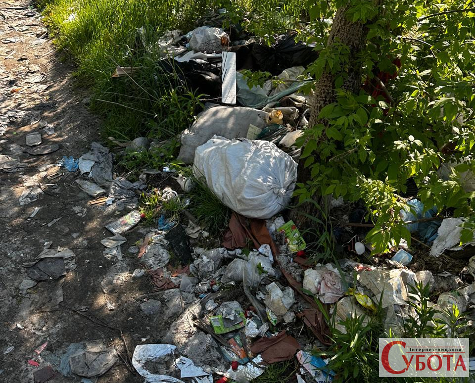 Вітер розносить відходи у ліс: екоінспектори зафіксували порушення на Звягельщині
