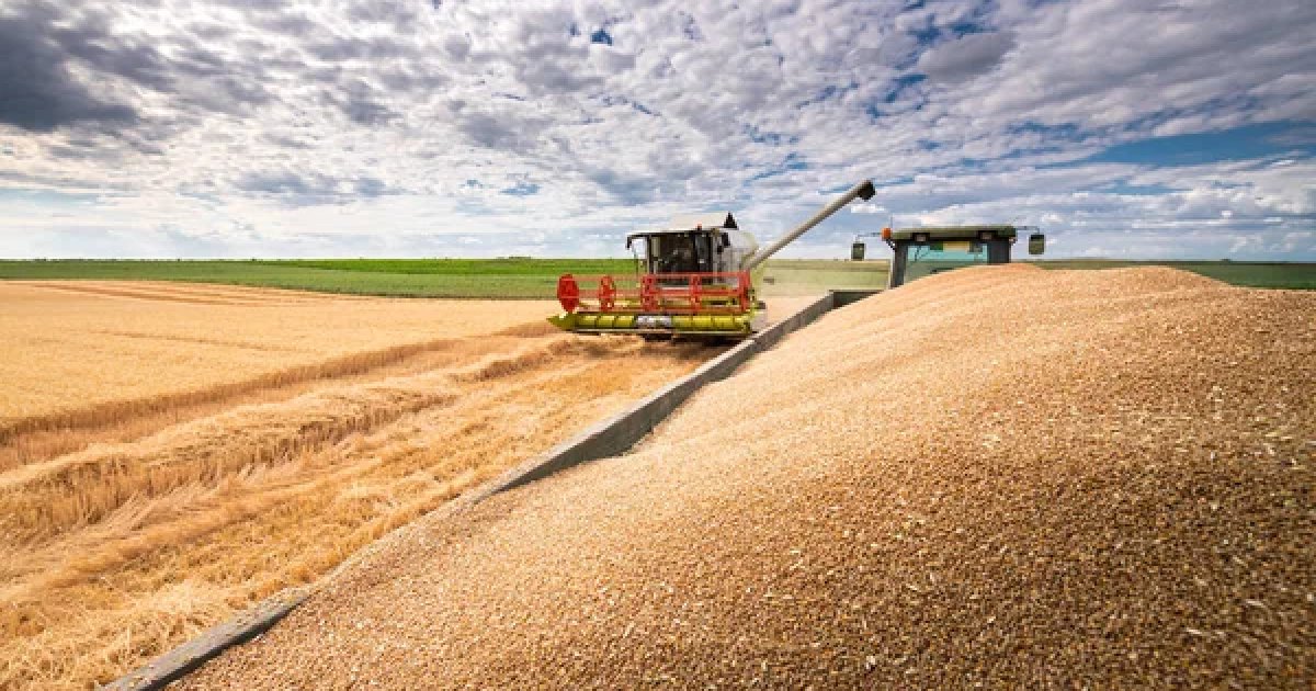 В ЄС закликають Мадяра скасувати заборону на агропродукцію з України
