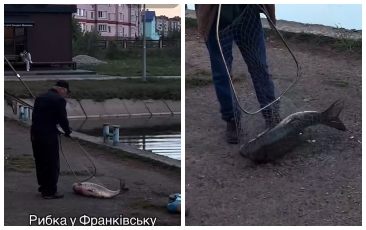 В Івано-Франківську на Німецькому озері впіймали 18-кілограмового амура (відео)