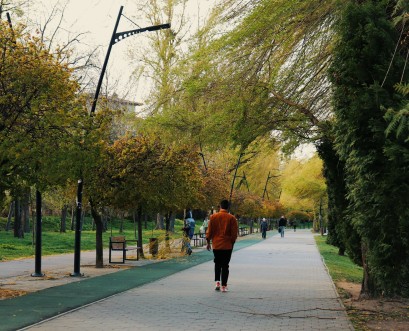 В Івано-Франківську через погані погодні умови впали дерева
