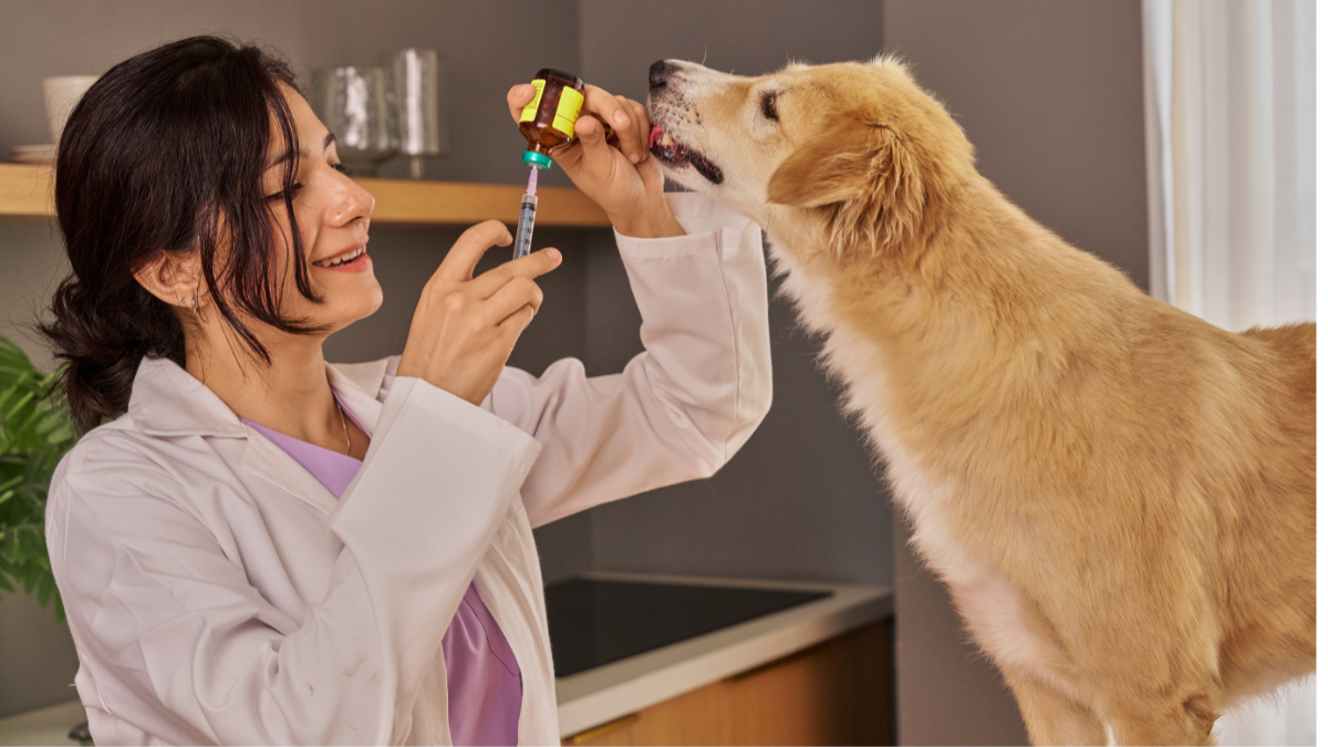 В Івано-Франківській області усунуто 12 вогнищ сказу