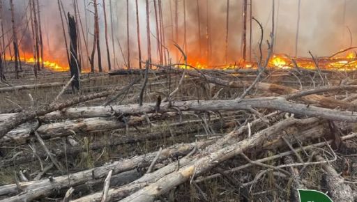 У Харківській області другу добу ліквідовують лісові пожежі, що сталися …