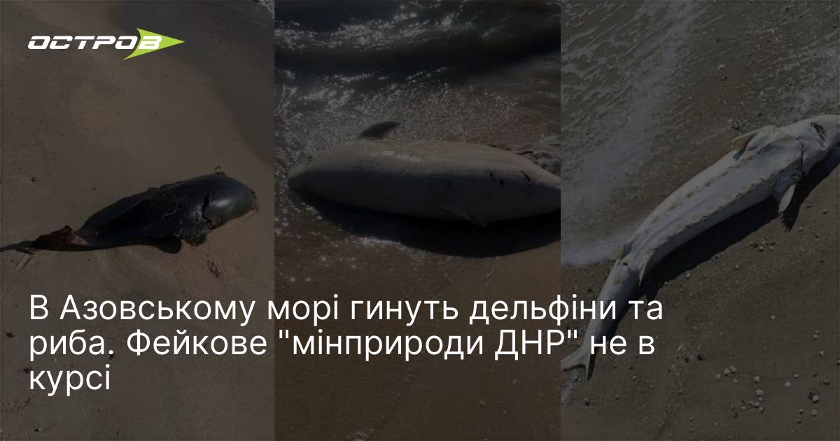 В Азовському морі гинуть дельфіни та риба. Фейкове "мінприроди ДНР" …
