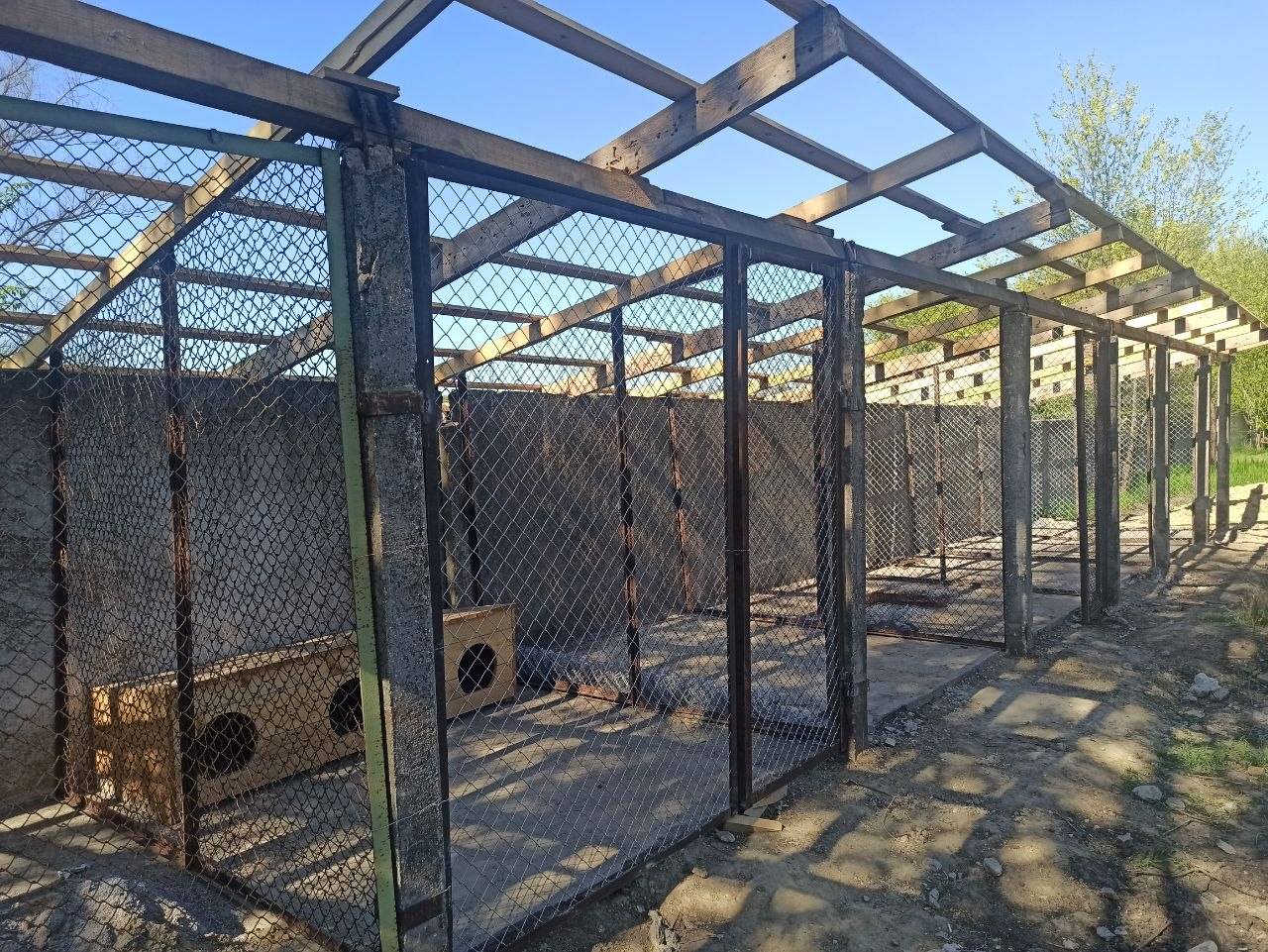 В Арцизькій громаді створюють притулок для бездомних тварин