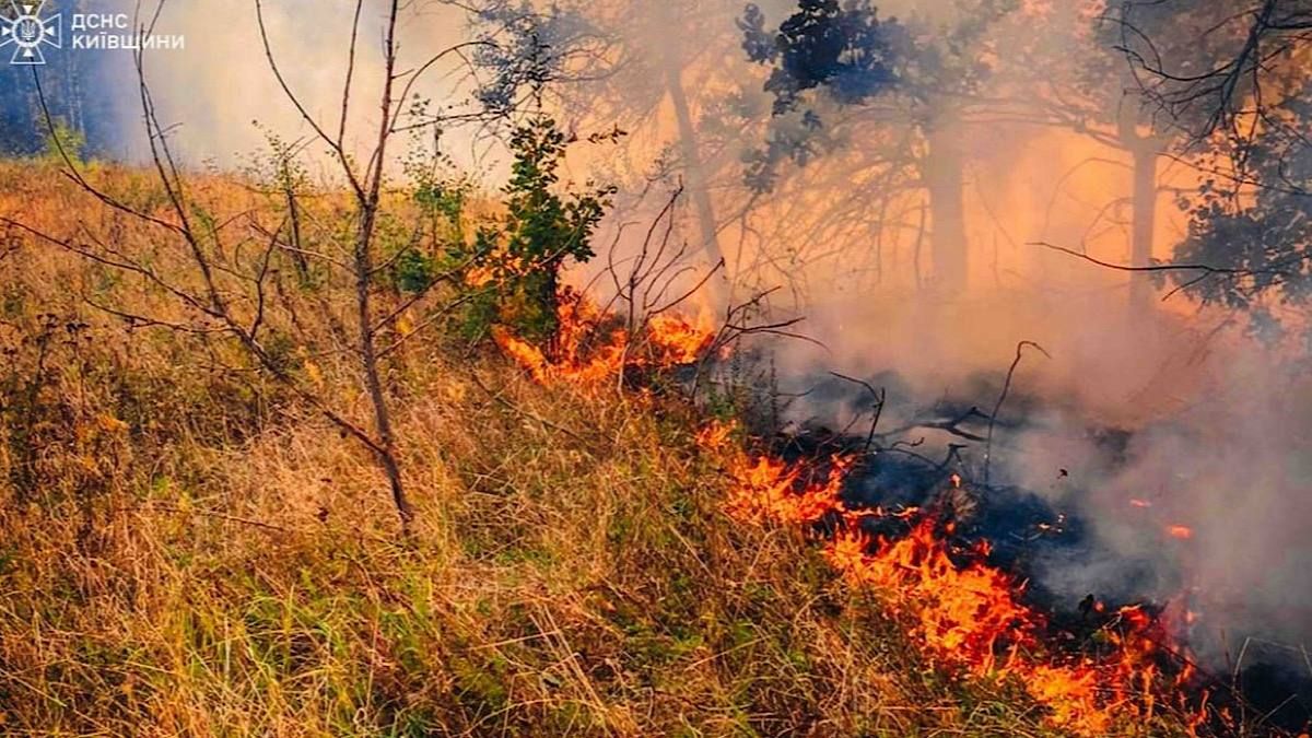 В Києві та області оголошено надзвичайний рівень пожежної небезпеки: що …
