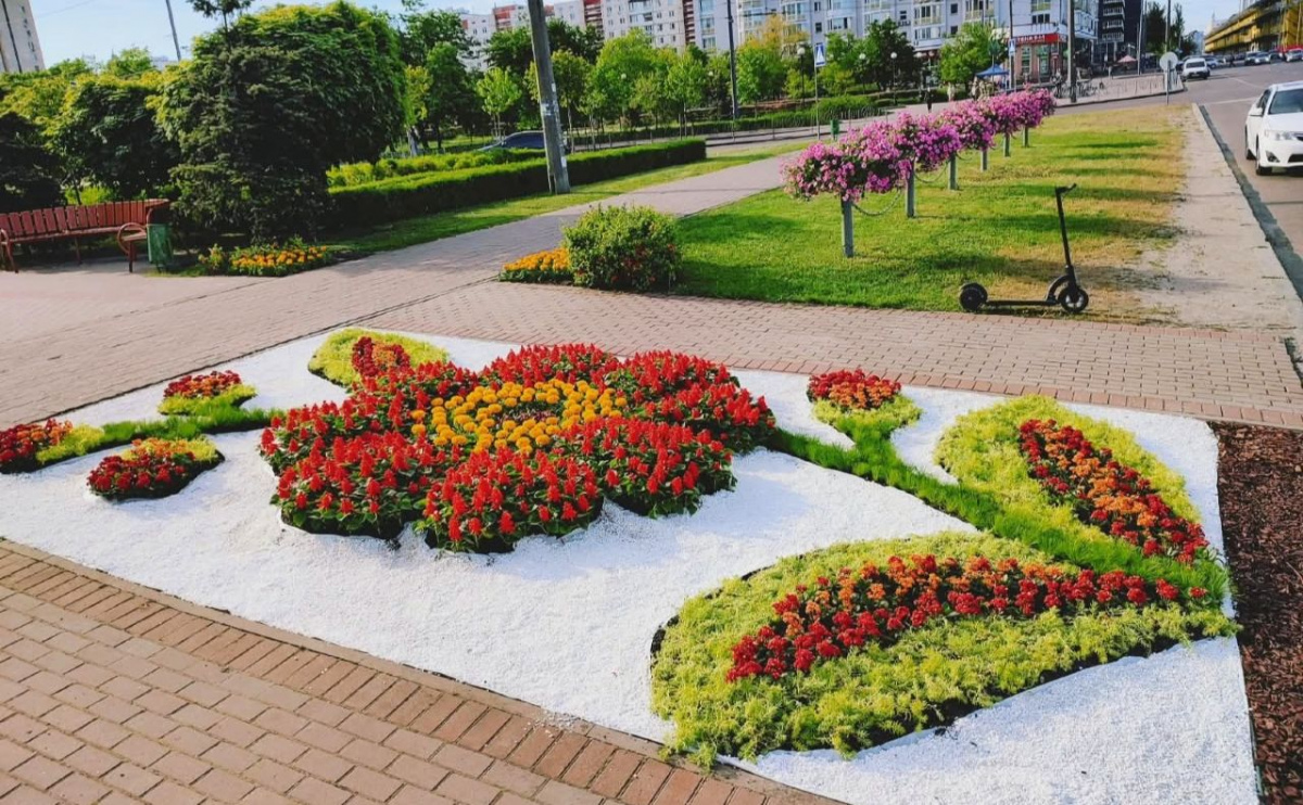 В Оболонському районі Києва створили тематичний квітник до Дня пам’яті …