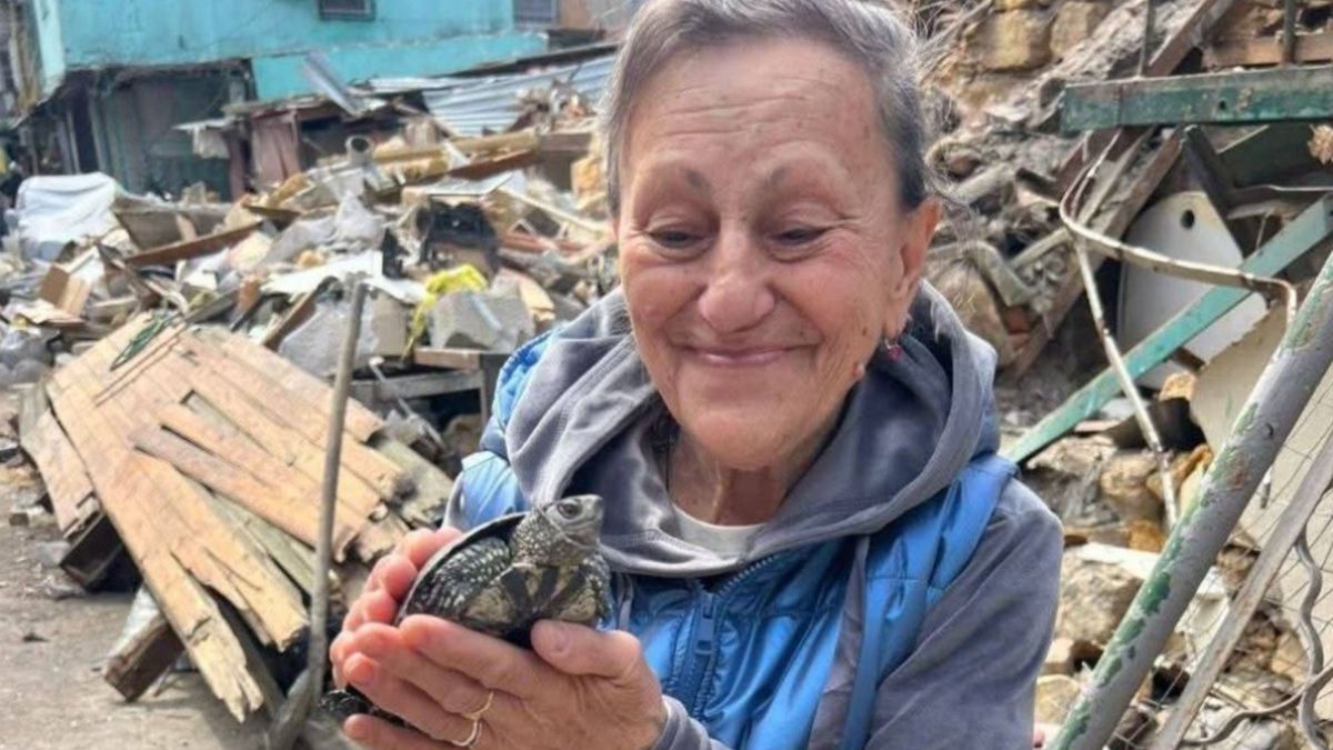 В Одесі врятували черепашку з-під завалів: вона провела там майже …
