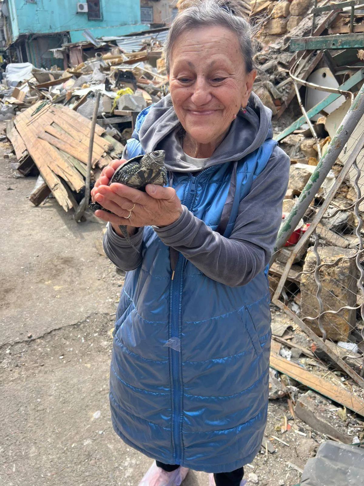 В Одесі з-під завалів зруйнованого будинку врятували черепаху