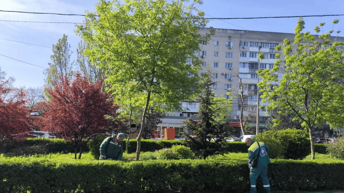 В Одесі перерахують дерева та кущі: вартість інвентарізації