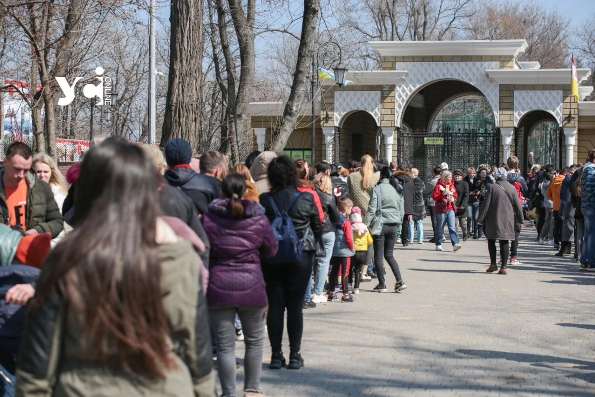 Одеський зоопарк планує придбати два мобільних укриття